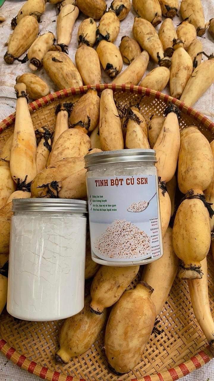 dia_chi_ban_tinh_bot_cu_sen_nguyen_chat