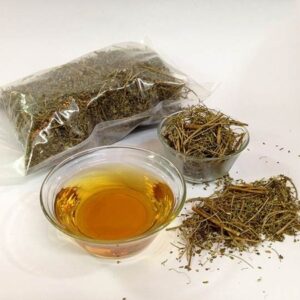 Cây diệp hạ châu, Cây chó đẻ răng cưa, Trà diệp hạ châu hút chân không