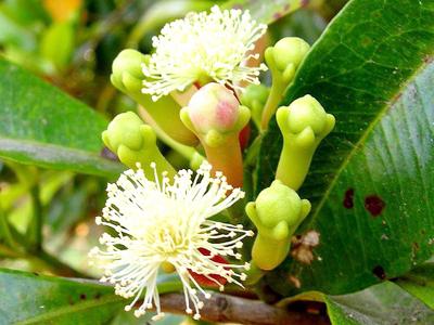 dinhhuongtuoi dinhhuongtuoi