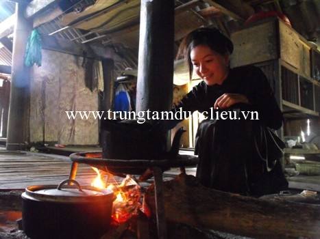 Nấu dây gắm sử dụng chữa bệnh gút đau nhức