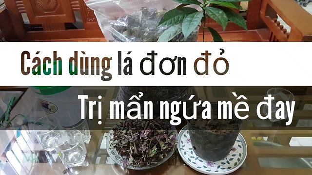 dung_la_don_do_chua_me_day dung_la_don_do_chua_me_day