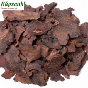 Củ hà thủ ô đỏ | Hà thủ ô trắng | Viên hà thủ ô | Thân lá cây hà thủ ô