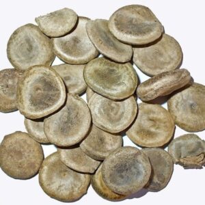 Hạt mã tiền | Cây củ chi | Phiên mộc miết