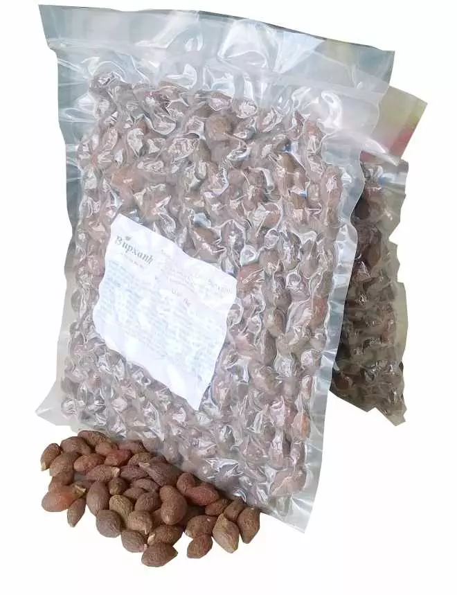 Hạt đười ươi bay