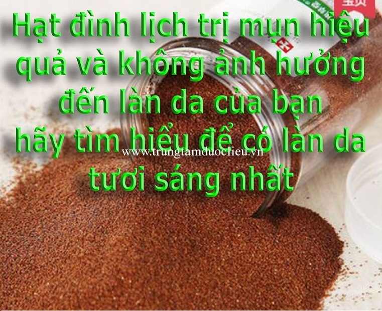 hat dinh lich kho