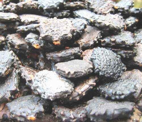 Hạt gấc, tác dụng hạt gấc, địa chỉ bán hạt gấc chữa đau nhức, viêm xoang