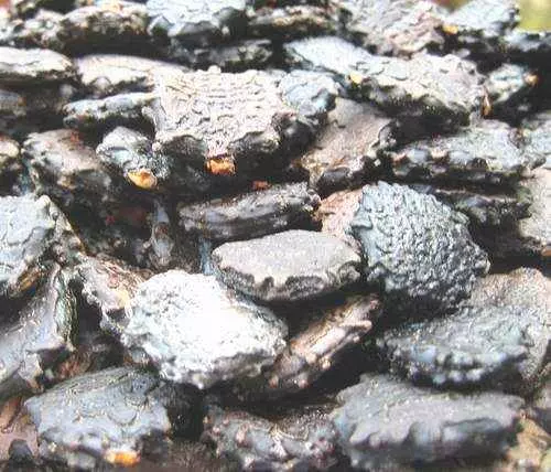 Hạt gấc chữa bệnh gì