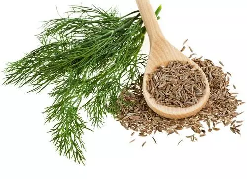 Hạt thì là, công dụng cây thì là, địa thì bán hạt thì là