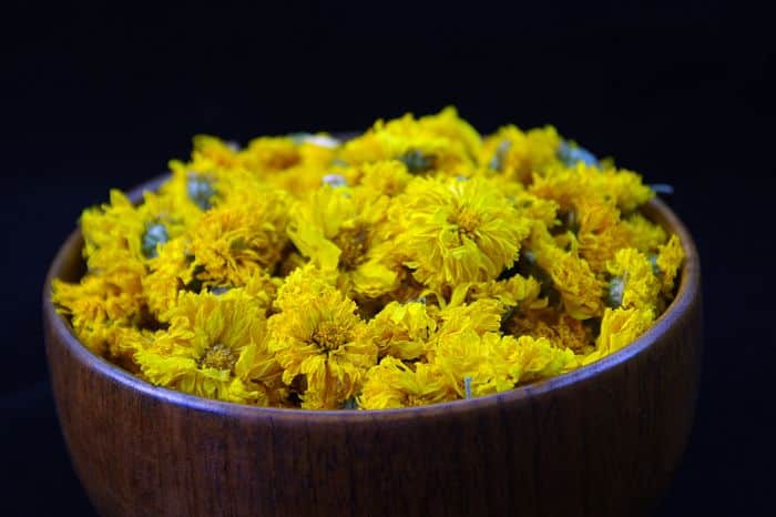 trà hoa cúc  vàng loại đẹp