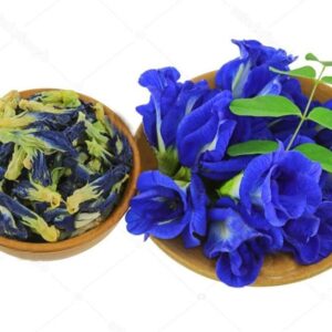 Hoa đậu biếc | Cây đậu biếc | Bông đậu biếc