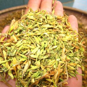 hoa-du-du-duc-chuan Hoa Đu Đủ Đực | Địa chỉ bán hoa đu đủ đực, tác dụng hoa đu đủ đực, mua hoa đu đủ đực ở đâu