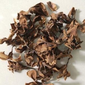 Hoa sứ khô | Hoa đại | Cây đại