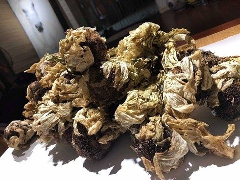 hoa_thien_son_tuyet_lien_kho