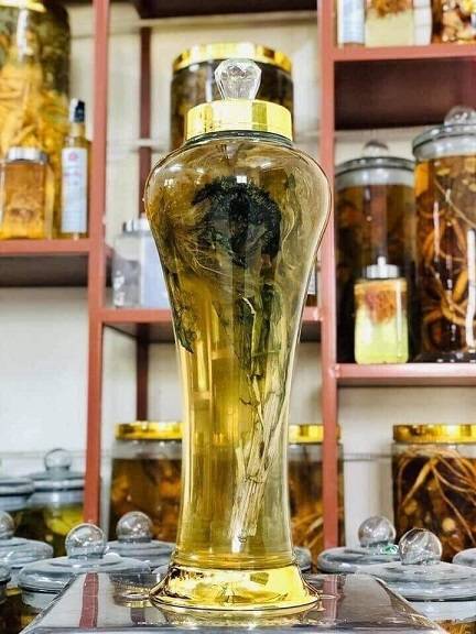 hoa_thien_son_tuyet_lien_ngam_ruou