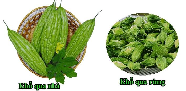 Dây khô qua rừng | địa chỉ bán trà khổ qua rừng | cây mướp đắng rừng