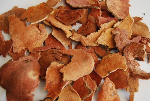 Thổ phục linh, công dụng thổ phục linh, địa chỉ bán thổ phục linh