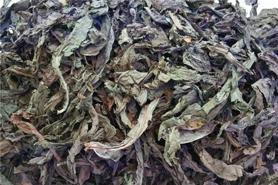 la-bo-cong-anh-viet-nam