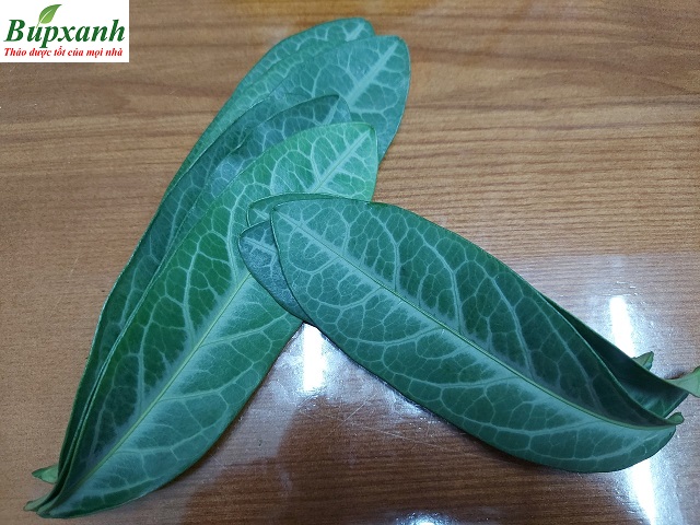 la-luoi-nhan-chua-mach-ho-van-tim