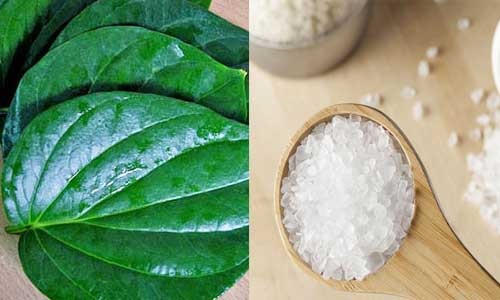 Lá trầu không | Địa chỉ bán lá trầu không | Công dụng, tác dụng chữa vảy nên, viêm gia cơ địa