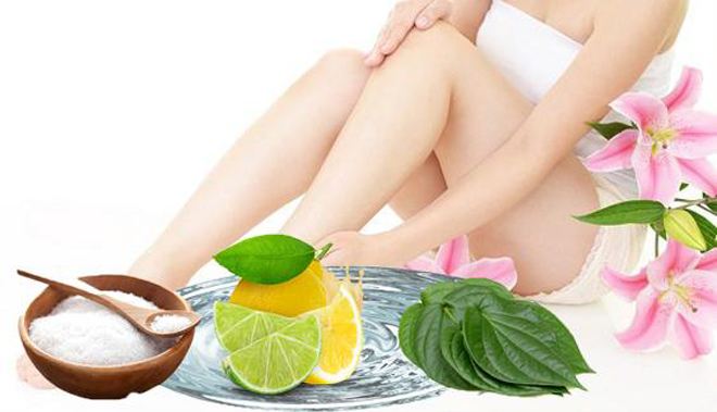 Lá trầu không | Địa chỉ bán lá trầu không | Công dụng, tác dụng chữa vảy nên, viêm gia cơ địa