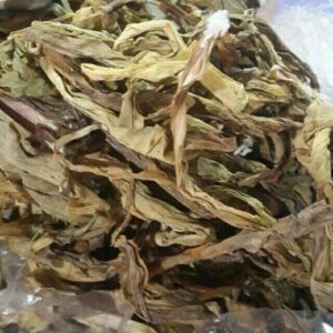 Cây trinh nữ hoàng cung | Trà trinh nữ hoàng cung