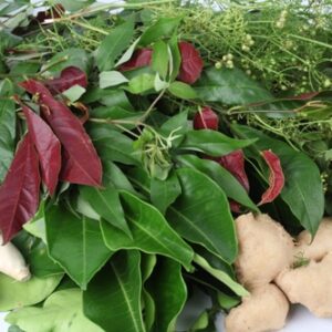 Bài thuốc xông giải cảm | Thuốc xông hơi trị cảm | Lá xông giải cam