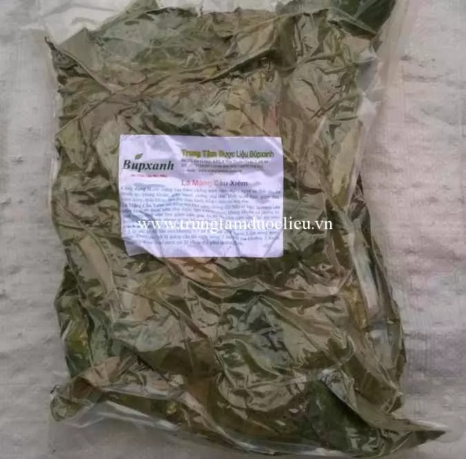 Địa chỉ bán lá mãng cầu uy tín, mua bán lá mãng cầu số lượng lớn