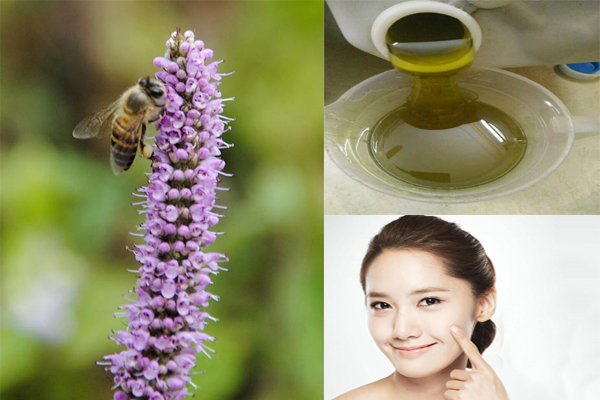 mat-ong-bac-ha-ha-giang Mật Ong bạc hà Thật | Địa chỉ bán mật ong thật | Tác dụng mật ong