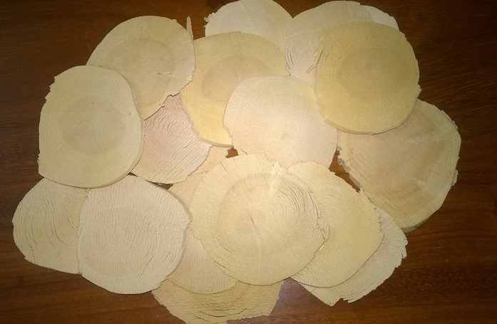 rễ cây mật nhân lâu năm