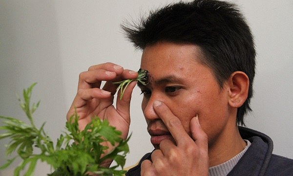 meo_ho_ngai_cuu_danh_bay_nghet_mui