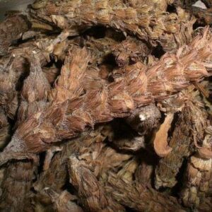 Cây hạ khô thảo | Địa chỉ bán hạ khô thảo