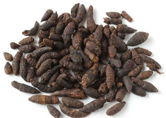 mua-huong-phu-o-dau-bupxanh-1