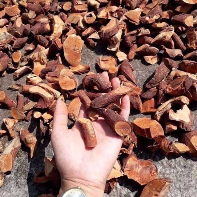 mutunkho cù boong nậu được sử dụng làm thuốc cương dương