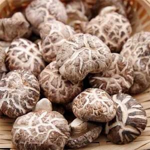 Nấm đông cô | Nấm hương