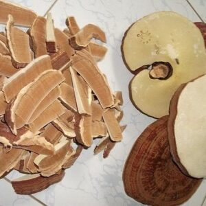 Nấm linh chi đỏ Việt Nam | Nấm linh chi hàn quốc