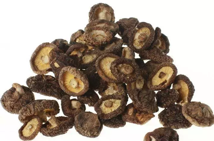 Nấm hương, công dụng cây nấm hương, địa chỉ bán nấm hương