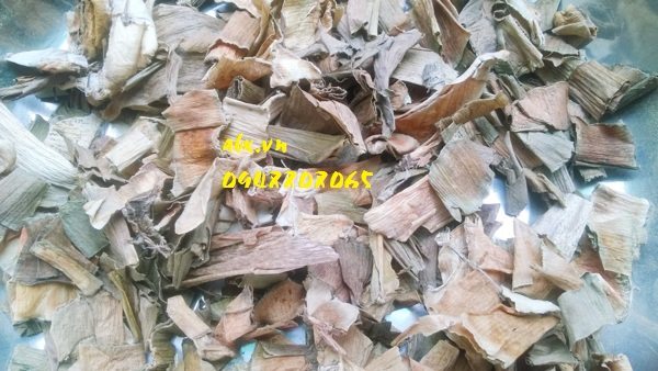 nanghoatrangkho-1 náng hoa trắng khô