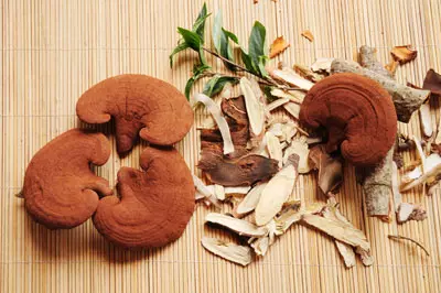 nmlinhchitrngdlq nmlinhchitrngdlq