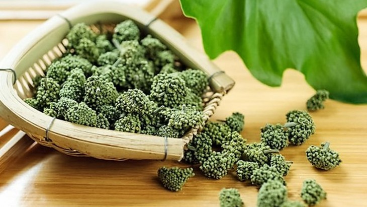 Địa chỉ bán nụ tam thất bao tử, nơi bán nụ tam thất bao tử, công dụng, tác dụng nụ hoa tam thất, nu tam thất chữa bệnh gì