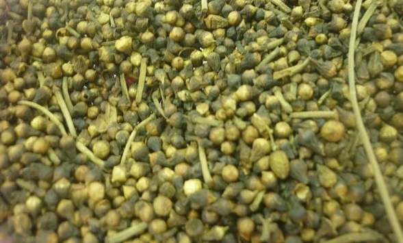 Trà nụ vối | Lá cây vối | Đia chỉ bán nụ vối bắc thanh nhiệt giải độc