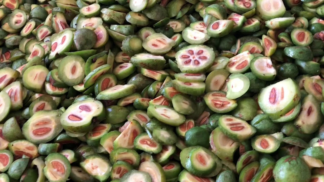 Quả bứa khô | Trái bứa | địa chỉ bán quả bứa khô giảm cân