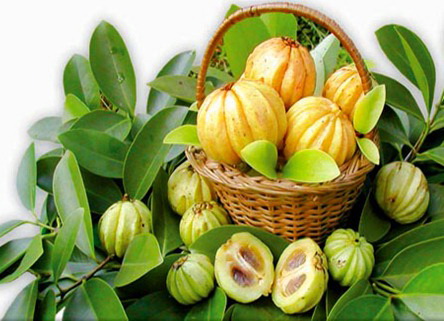 Quả bứa khô | Trái bứa | địa chỉ bán quả bứa khô giảm cân