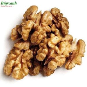 Hạt óc chó | Quả óc chó | Nhân óc chó