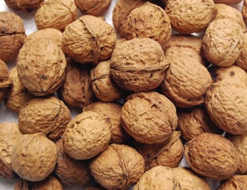 qua_oc_cho_nhap Quả óc chó | địa chỉ bán quả óc chó mỹ