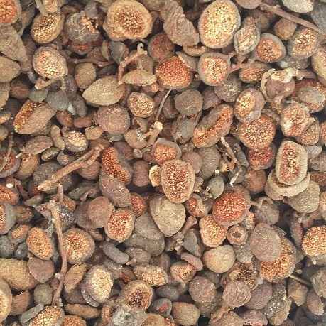 quasung qua sung kho