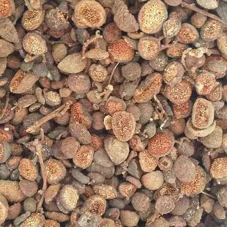 quasungkhochuasoimat quasungkhochuasoimat