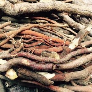 Địa chỉ bán rễ cau khô - Mua rễ cau ở đâu tốt