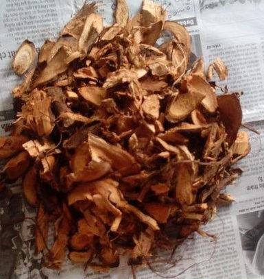 Rễ cây gai xanh còn gọi là rễ cây gai