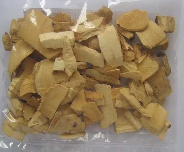 rượu ngâm rễ cây trị mụn