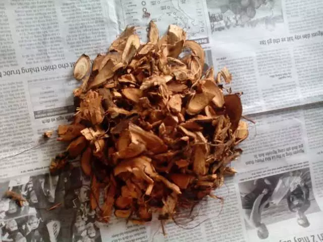 rễ củ chữa bệnh vô sinh